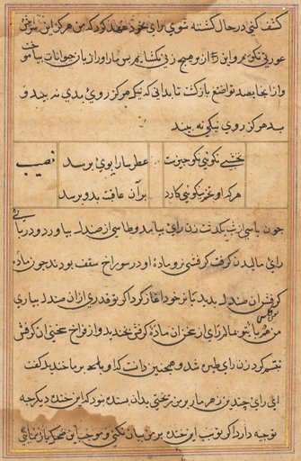 Page from Tales of a Parrot (Tuti-nama): text page