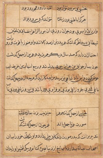Page from Tales of a Parrot (Tuti-nama): text page