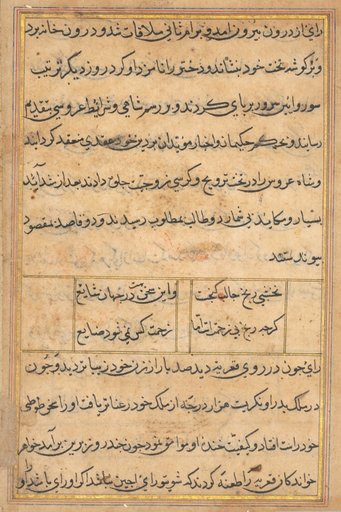 Page from Tales of a Parrot (Tuti-nama): text page