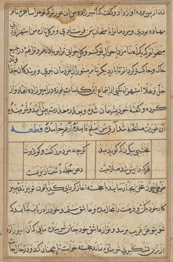 Page from Tales of a Parrot (Tuti-nama): text page