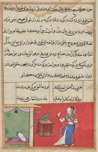 The parrot addresses Khujasta at the beginning of the forty-seventh night, from a Tuti-nama (Tales of a Parrot): Forty-seventh Night