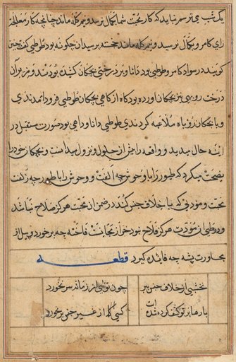 Page from Tales of a Parrot (Tuti-nama): text page