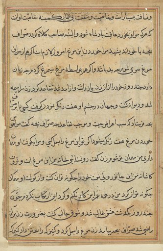 Page from Tales of a Parrot (Tuti-nama): text page