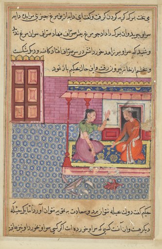 The pious man’s wife offers the seven-colored bird as food to her lover, but not finding its head, he breaks the pot and bowl in anger, from a Tuti-nama (Tales of a Parrot): Fifty-second Night