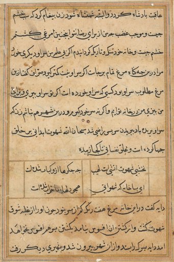 Page from Tales of a Parrot (Tuti-nama): text page