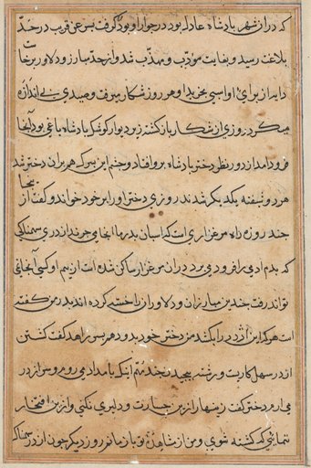 Page from Tales of a Parrot (Tuti-nama): text page