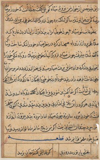 Page from Tales of a Parrot (Tuti-nama): text page