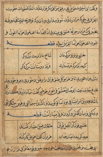 Page from Tales of a Parrot (Tuti-nama): text page