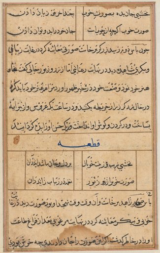 Page from Tales of a Parrot (Tuti-nama): text page