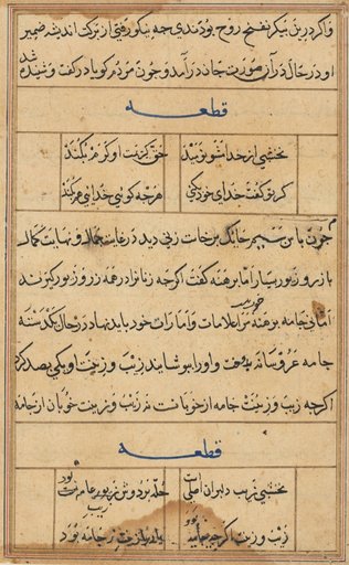Page from Tales of a Parrot (Tuti-nama): text page