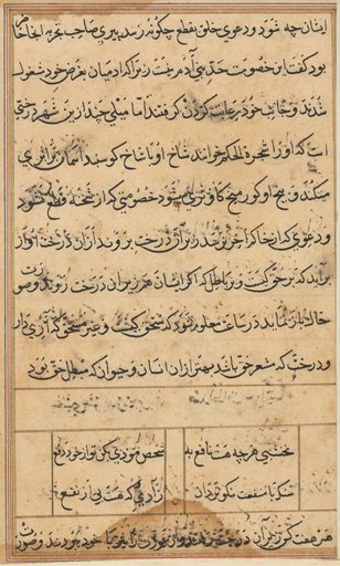Page from Tales of a Parrot (Tuti-nama): text page