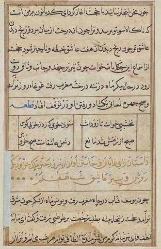 Page from Tales of a Parrot (Tuti-nama): text page
