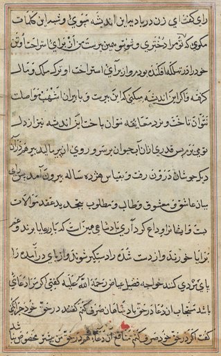 Page from Tales of a Parrot (Tuti-nama): text page