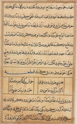 Page from Tales of a Parrot (Tuti-nama): text page