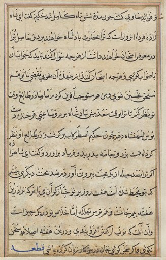 Page from Tales of a Parrot (Tuti-nama): text page