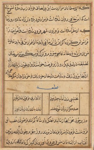 Page from Tales of a Parrot (Tuti-nama): text page