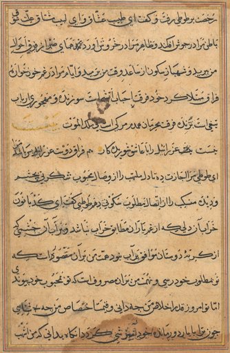 Page from Tales of a Parrot (Tuti-nama): text page