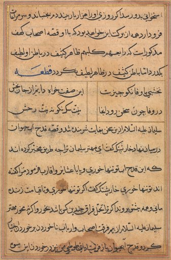 Page from Tales of a Parrot (Tuti-nama): text page
