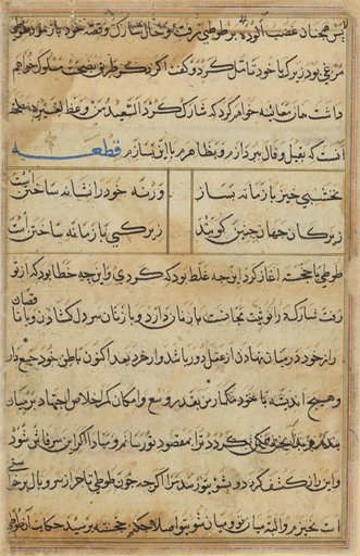 Page from Tales of a Parrot (Tuti-nama): text page