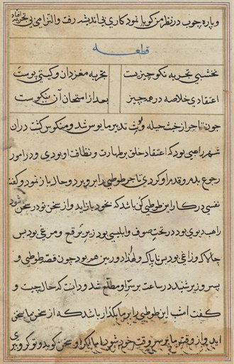 Page from Tales of a Parrot (Tuti-nama): text page
