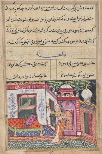 The Parrot Addresses Khujasta at the Beginning of the Eleventh Night, from a Tuti-nama (Tales of a Parrot)
