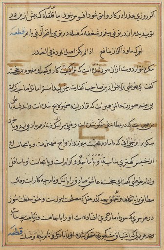 Page from Tales of a Parrot (Tuti-nama): text page