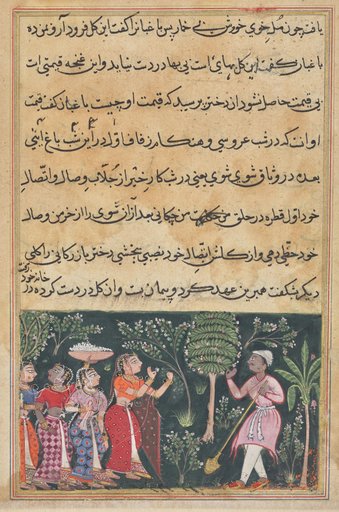The daughter of the merchant of Mazanderan asks the gardener for the rose, from a Tuti-nama (Tales of a Parrot): Twelfth Night