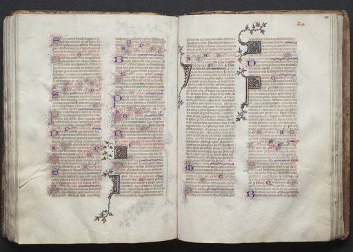 The Gotha Missal: Fol. 110v, Text