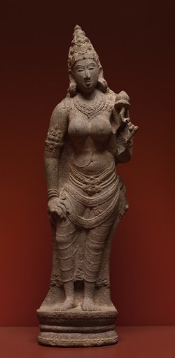 Bhu