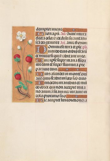 Hours of Queen Isabella the Catholic, Queen of Spain: Fol. 102v