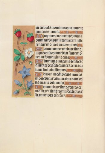 Hours of Queen Isabella the Catholic, Queen of Spain: Fol. 105v