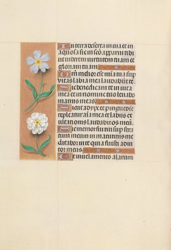 Hours of Queen Isabella the Catholic, Queen of Spain: Fol. 117v