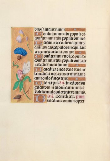Hours of Queen Isabella the Catholic, Queen of Spain: Fol. 118v