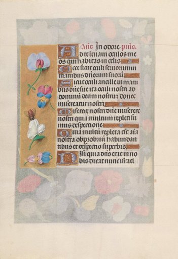 Hours of Queen Isabella the Catholic, Queen of Spain: Fol. 137v