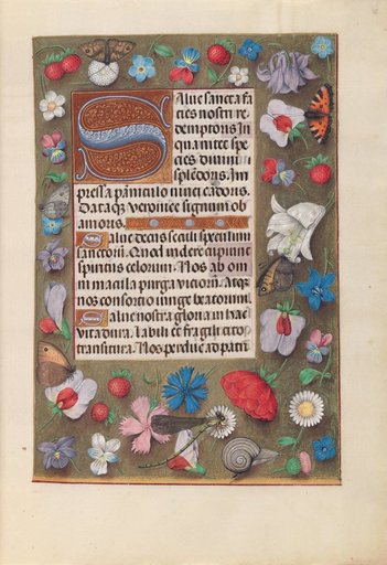 Hours of Queen Isabella the Catholic, Queen of Spain: Fol. 15r