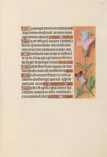 Hours of Queen Isabella the Catholic, Queen of Spain: Fol. 202r
