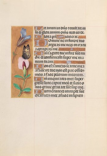 Hours of Queen Isabella the Catholic, Queen of Spain: Fol. 202v
