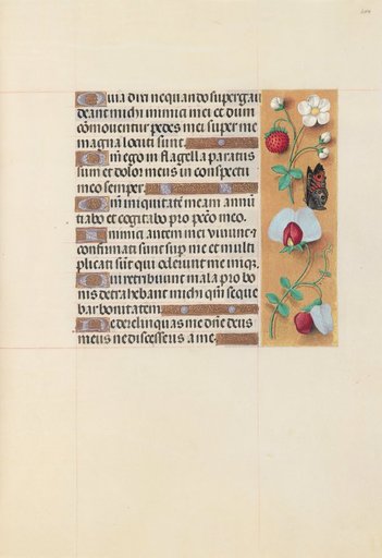 Hours of Queen Isabella the Catholic, Queen of Spain: Fol. 204r