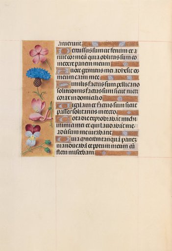 Hours of Queen Isabella the Catholic, Queen of Spain: Fol. 206v