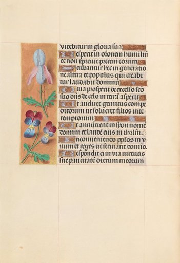 Hours of Queen Isabella the Catholic, Queen of Spain: Fol. 207v