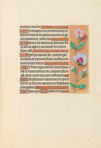 Hours of Queen Isabella the Catholic, Queen of Spain: Fol. 208r