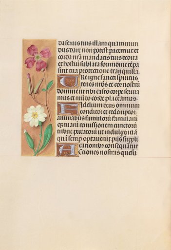 Hours of Queen Isabella the Catholic, Queen of Spain: Fol. 217v