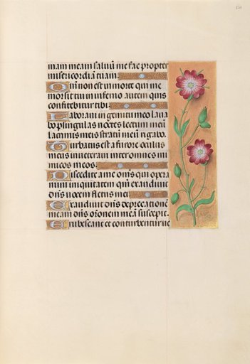 Hours of Queen Isabella the Catholic, Queen of Spain: Fol. 229r