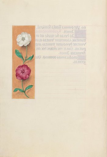 Hours of Queen Isabella the Catholic, Queen of Spain: Fol. 23v