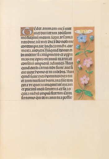 Hours of Queen Isabella the Catholic, Queen of Spain: Fol. 232r