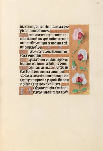 Hours of Queen Isabella the Catholic, Queen of Spain: Fol. 237r