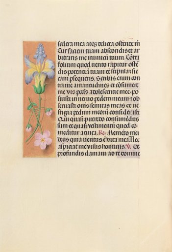 Hours of Queen Isabella the Catholic, Queen of Spain: Fol. 237v