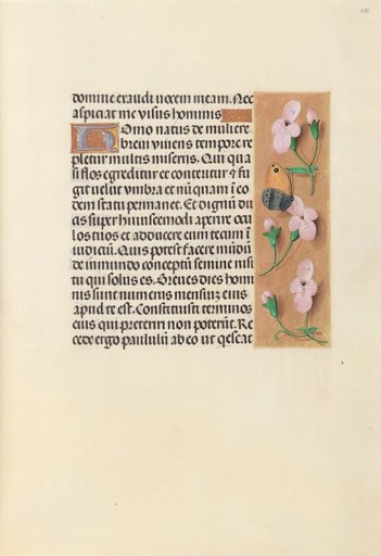 Hours of Queen Isabella the Catholic, Queen of Spain: Fol. 238r