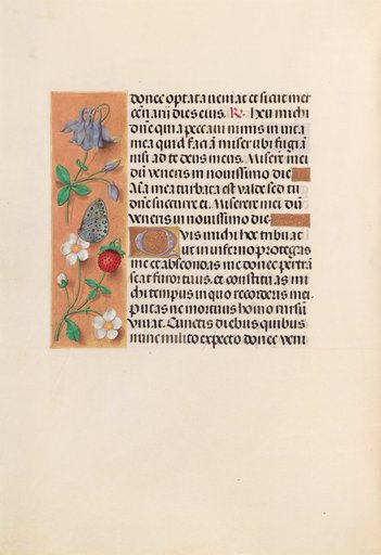Hours of Queen Isabella the Catholic, Queen of Spain: Fol. 238v