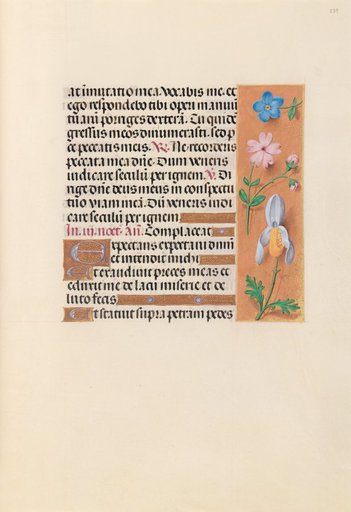 Hours of Queen Isabella the Catholic, Queen of Spain: Fol. 239r